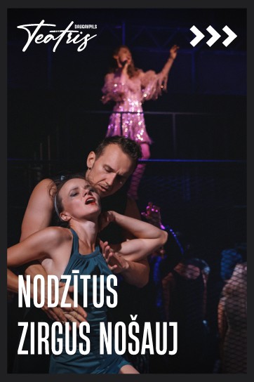NODZĪTUS ZIRGUS NOŠAUJ