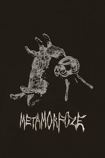 Liepājas Mākslas Forums | Metamorfoze 14+