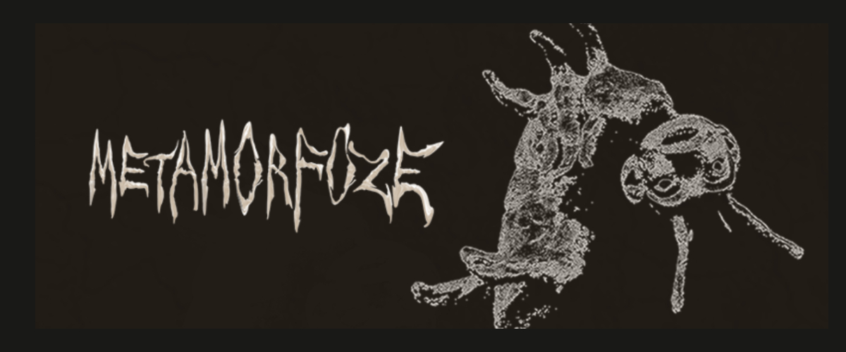 Liepājas Mākslas Forums | Metamorfoze 14+