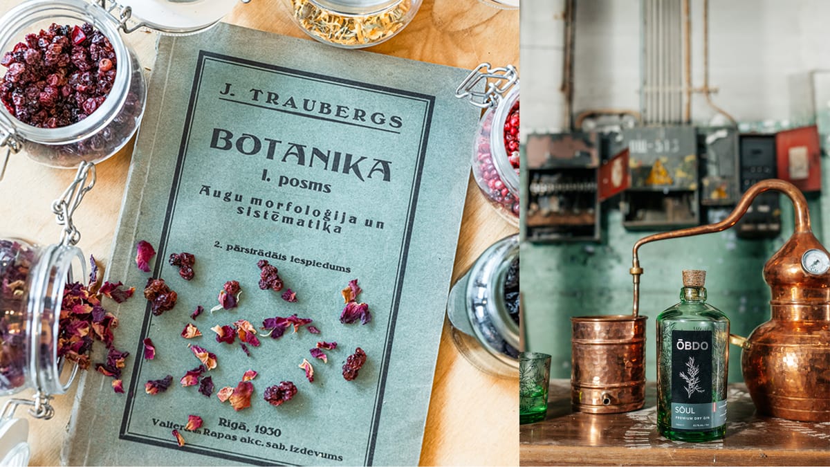 Radošā džina veidošanas meistarklase "ŌBDO" džina ražotnē
