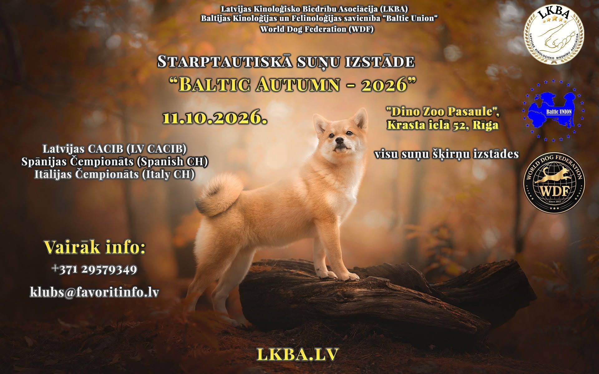 Starptautiskā suņu izstāde “Baltic Autumn - 2026” (LKBA/BU/ACW) CACIB