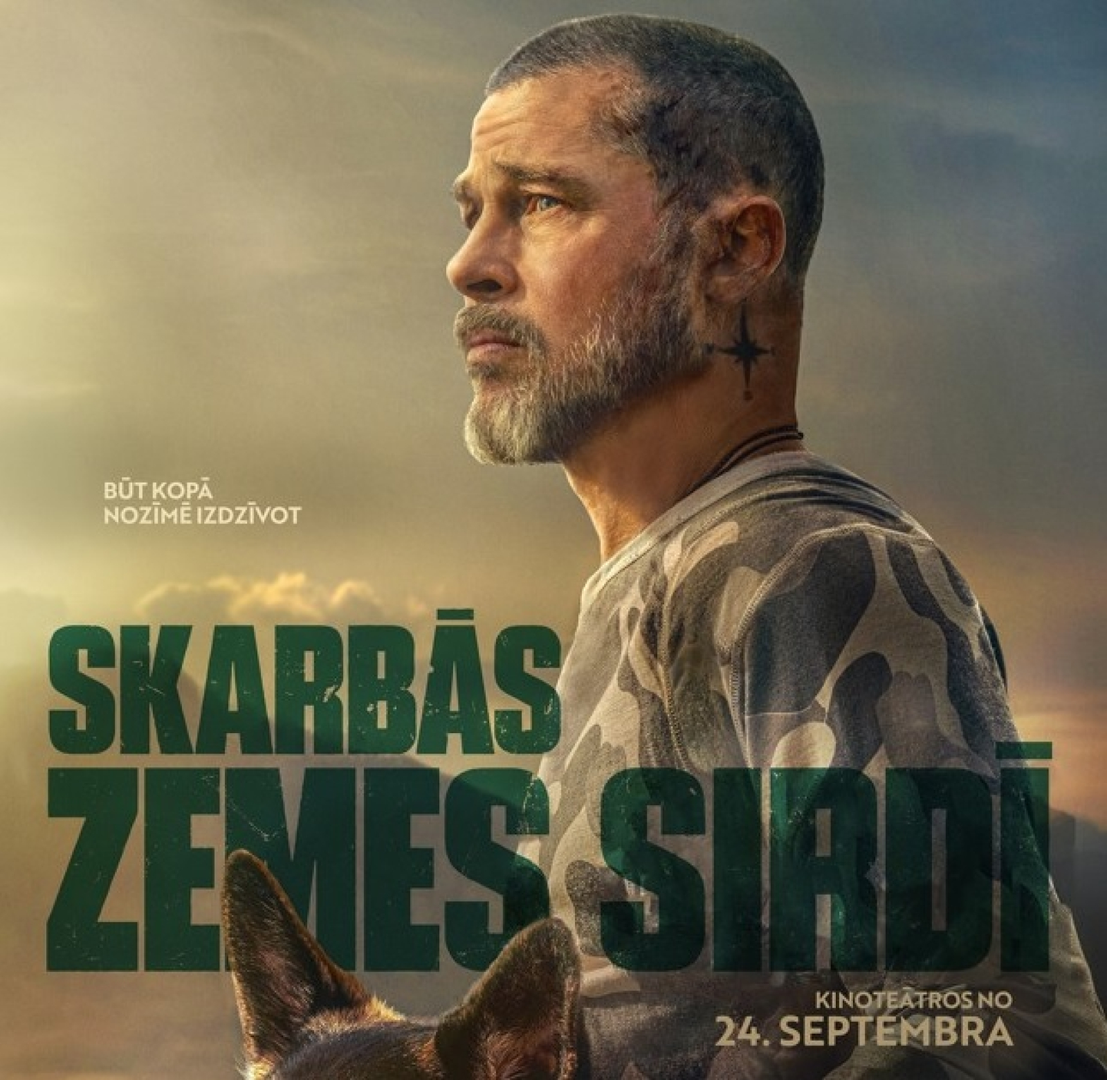 Mākslas un animācijas filmu programma